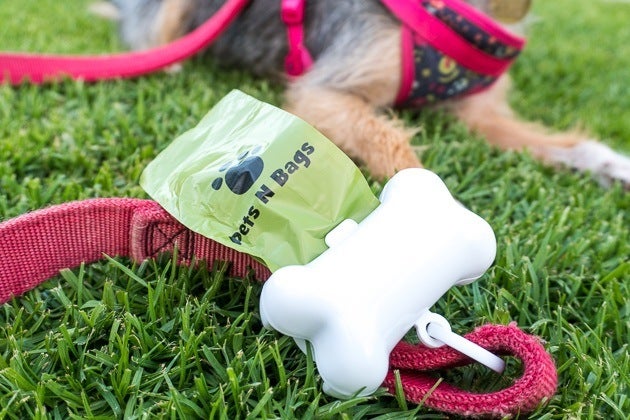 Everything You Need to Know About Dog Poop Bags
